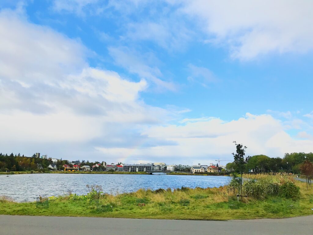 A pond in Reykjavik.